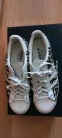 Adidas Superstar echt cool 38,5 WN Essen - Altenessen Vorschau