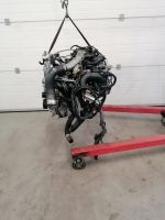 Motor Komplett NISSAN X-TRAIL MR16DDT 1,6DIG-T 62.000km 12 Monate Brandenburg - Küstriner Vorland Vorschau