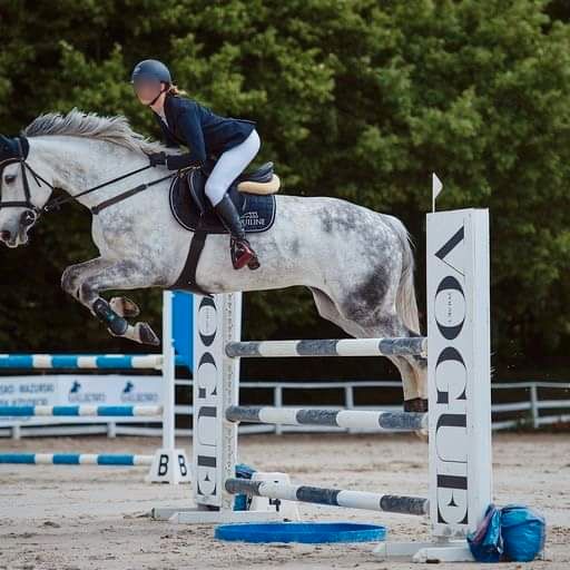 Eine Stute fuer den grossen Sport V:Coupie/Coupe de Coeur in Berlin