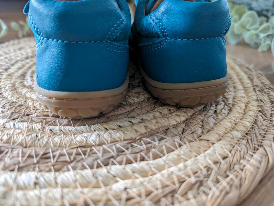 Lurchi Barefoot Baby Sneaker in Größe 20 in Scheinfeld