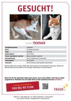 Vermisste Katze Sachsen-Anhalt - Stendal Vorschau