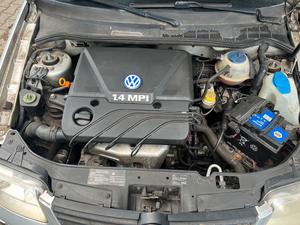 Volkswagen Polo 1,4 in Bottrop