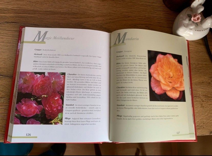 Handbuch der Rosen   Die schönsten Rosen von A -Z Neuwertig in Wächtersbach