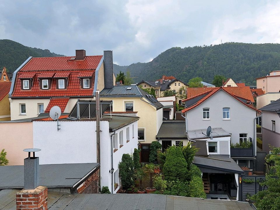 3 Zimmer DG im Zentrum von Thale in Thale