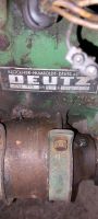 Deutz D50 /50.1s Nordrhein-Westfalen - Petershagen Vorschau