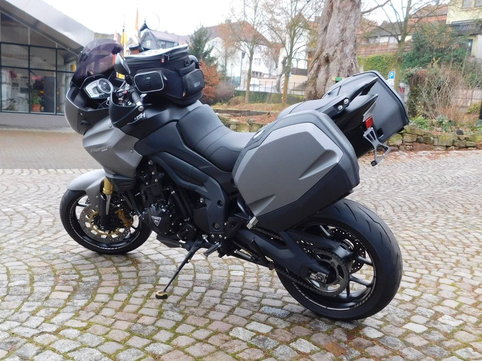 Triumph, Tiger 1050 in Bad Salzungen