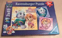 Paw Patrol Puzzle 3x49 Teile Leipzig - Gohlis-Nord Vorschau