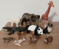 Schleich Tiere ab 5€ Nordrhein-Westfalen - Marsberg Vorschau