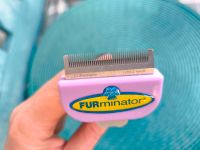 FURminator Katze - Fellbürste Münster (Westfalen) - Mauritz Vorschau