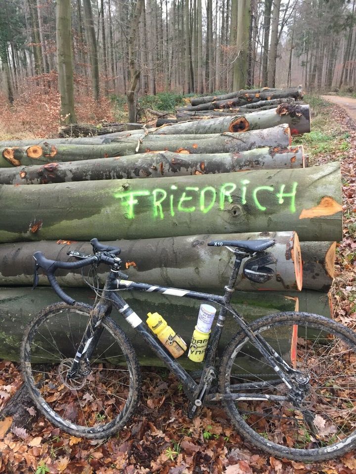 Kaminholz / Brennholz / Stammholz /TROCKEN ab 80€, FRISCH ab 70€ in Hannover