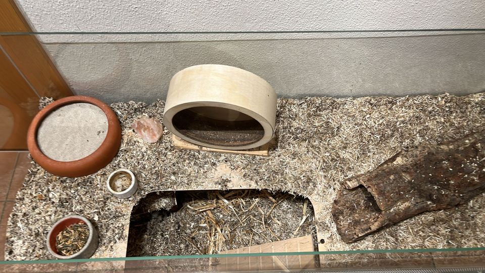 Hamsterkäfig Nagarium in Nürnberg (Mittelfr)