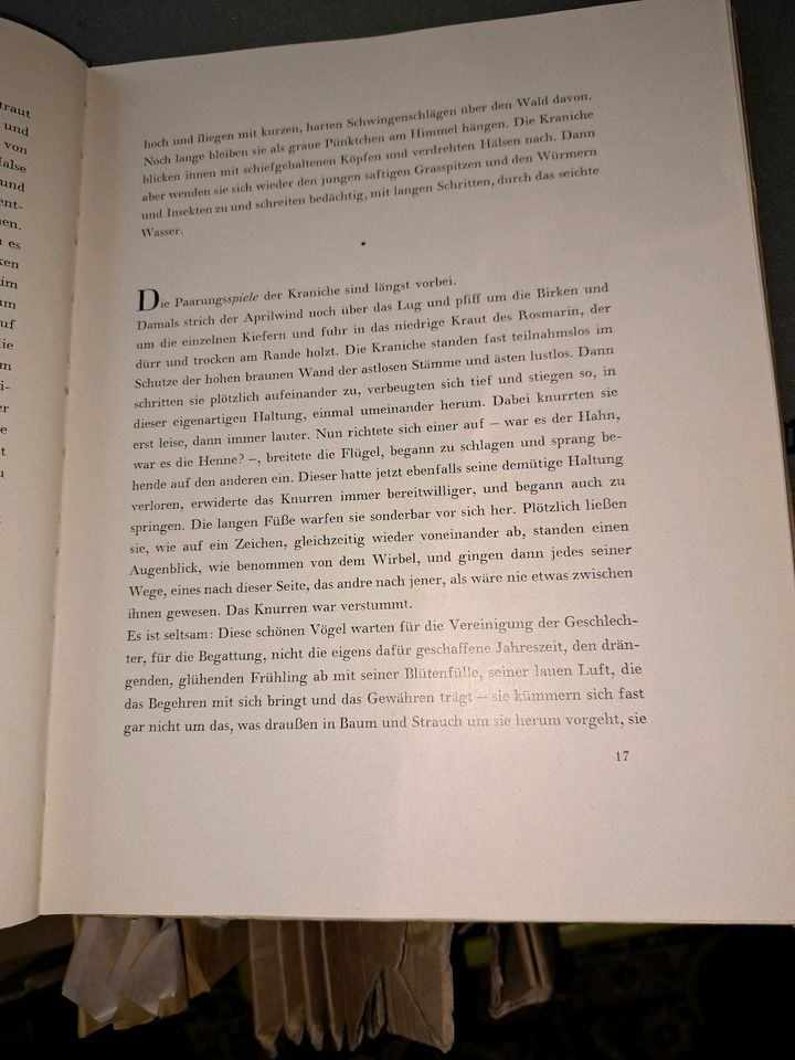 DDR Helmut Drechsler Die Kraniche vom weißen Lug Radebeul Berlin in Berlin