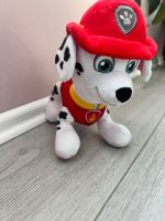 Paw patrol Hund Marshall Baden-Württemberg - Philippsburg Vorschau