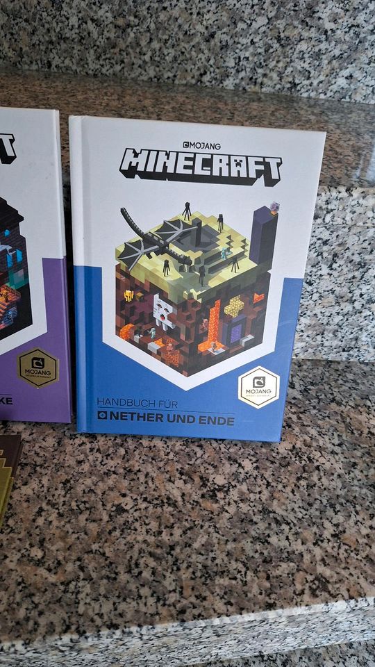 6 Minecraft Bücher Lösungsbuch Handbuch in sehr gutem Zustand in Mayen