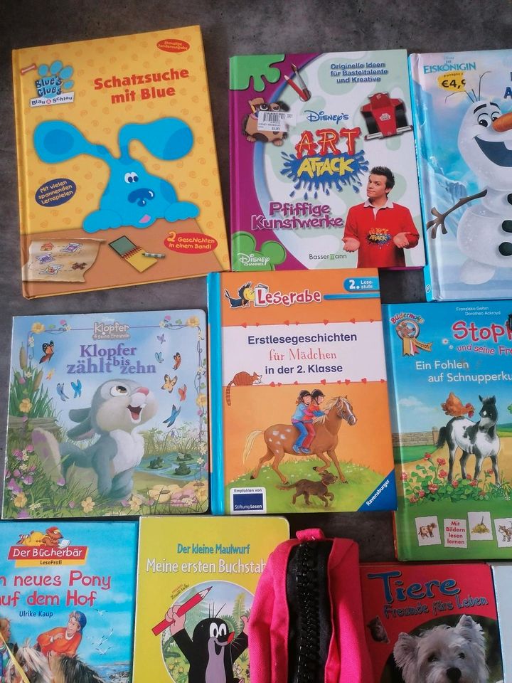 Schultüte Einschulung Pferd Zahlen Buchstaben Erstlese Elsa in Nieheim