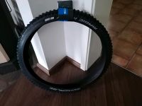 Schwalbe Reifen Magic Mary 27,5 Zoll Brandenburg - Wehrhain Vorschau