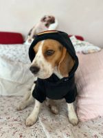 2 SPARK PAWS CozyFlex Hund & Halter Partnerlook-Jacken NEU Rheinland-Pfalz - Wörth am Rhein Vorschau