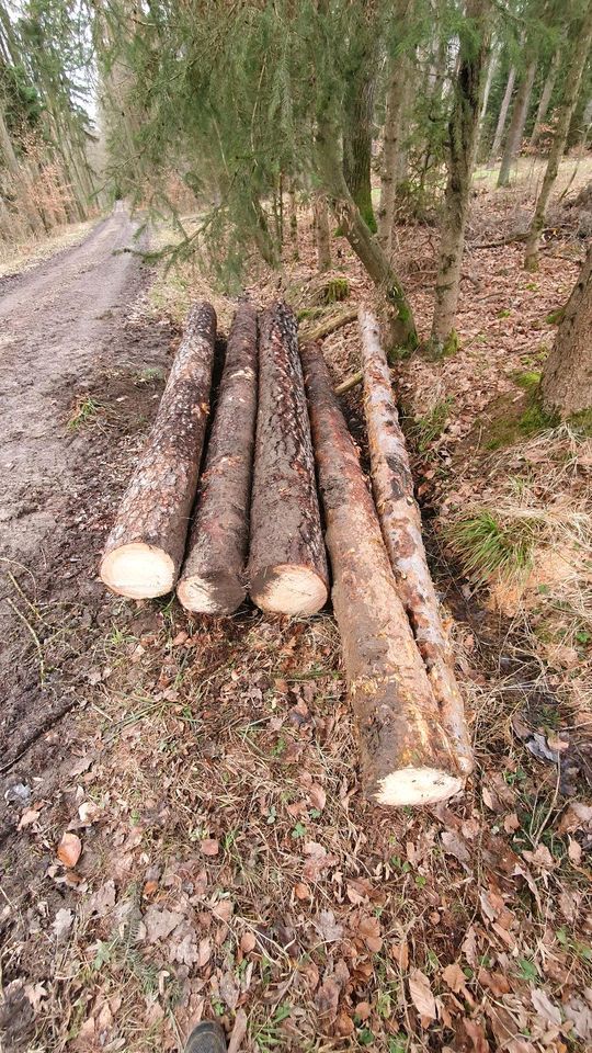 Kiefer 4m Holzstamm Stammholz Kiefernstamm Kiefernholz 4 m in Daiting