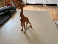 Schleich Giraffe Sachsen - Dessau Vorschau