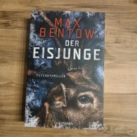 Der Eisjunge - Max Bentow Sachsen-Anhalt - Merseburg Vorschau