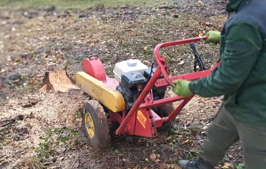 Baumstumpf Baumwurzel Entfernung Gärtner in Schwerte