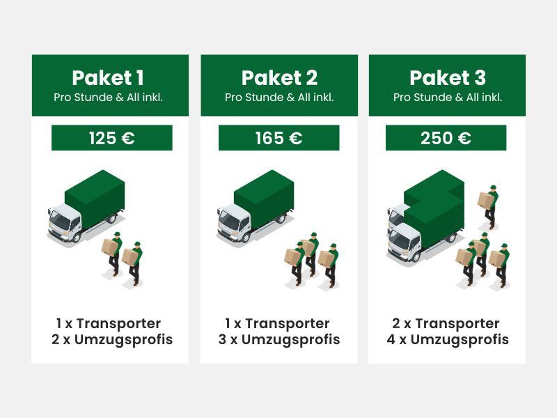 Mini-Umzug oder Transport - Ab 2 Std. inkl. Umzugshelfer & Transporter / Lkw Hamburg IKEA in Hamburg