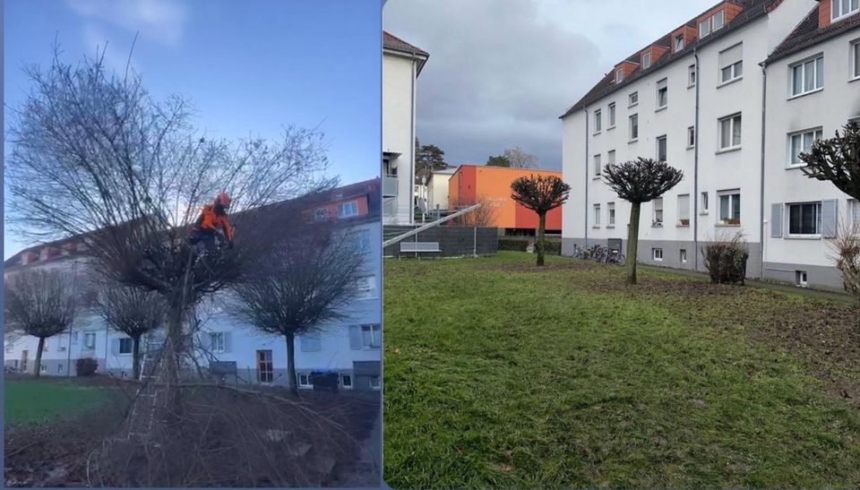 Gartenarbeit,Gartenpflege und Gebäudereinigung “ EDI „ in Weinheim