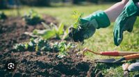 Ich biete kleine Gartendienstleistungen an (14€ Std.) Niedersachsen - Diepholz Vorschau