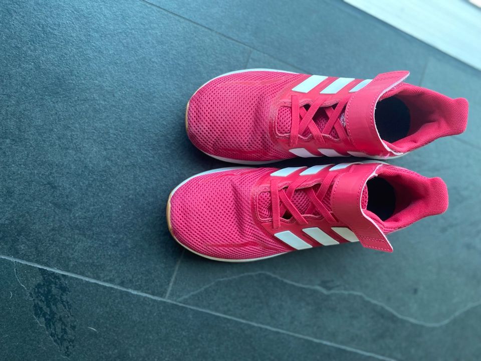 Adidas Hallenturnschuhe Gr 34 in Berlin