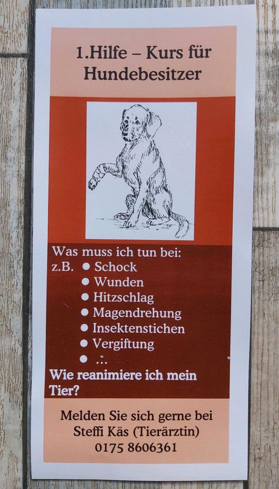 Hundesalon & Erste Hilfe am Hund in Breitenworbis