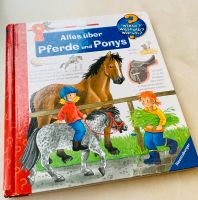 Wieso weshalb warum Alles über Pferde und Ponys Düsseldorf - Bilk Vorschau