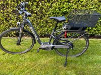 E-Bike ZEMO Ze 8 Comfort Fahrrad mit Riemenantrieb Köln - Nippes Vorschau