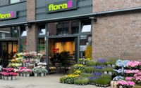 Florist (m/w/d) & Blumenliebhaber (m/w/d) Eimsbüttel - Hamburg Eimsbüttel (Stadtteil) Vorschau