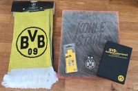 BVB Trikot Dortmund (Kohle & Stahl neu + Extras/Geschenk) Dortmund - Huckarde Vorschau