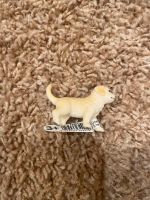 schleich golden retriever welpe / hund NEU! Bayern - Litzendorf Vorschau