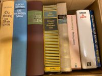 Bücher Romane 8 Stück Kiste 8 die Wikinger Saga Mitchell usw Nordrhein-Westfalen - Düren Vorschau