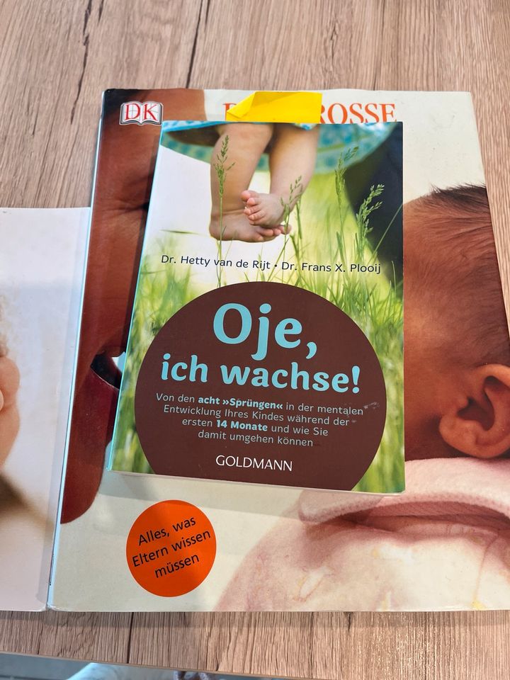 3 Baby Bücher Entwicklung „Das große Dorling Kindersley Babybuch“ in Gengenbach