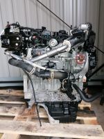 Motor Komplett Ford Transit Connect XWGC 1,5 TDCI 63Tkm 120PS Brandenburg - Küstriner Vorland Vorschau