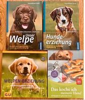 Welpen/ Hunde Bücher Baden-Württemberg - Simmozheim Vorschau
