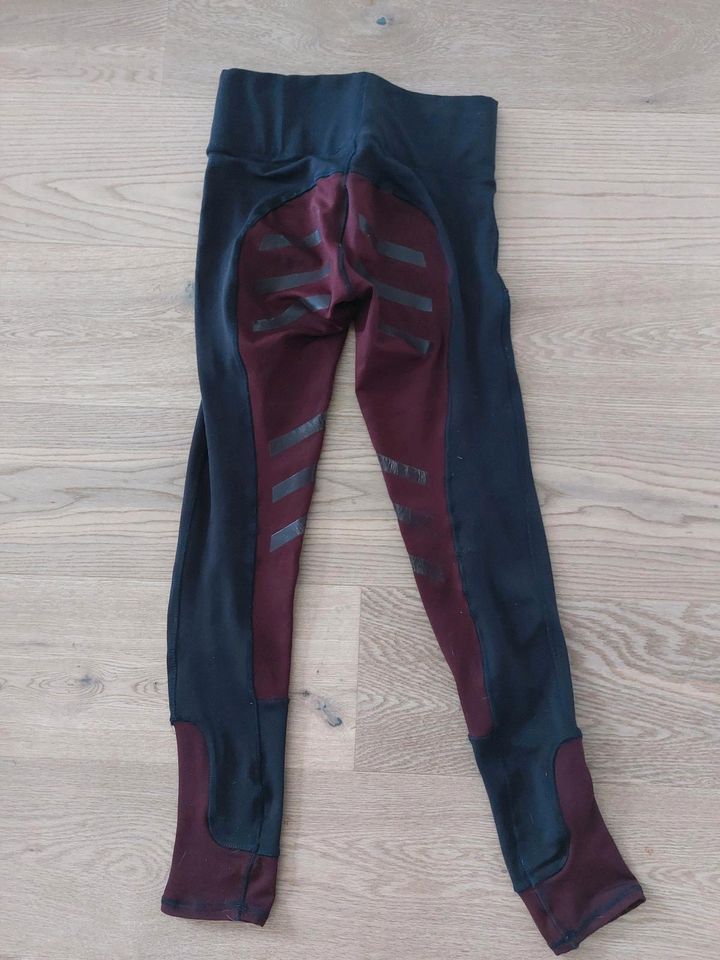 Reithose/ Leggings Pfiff Größe 34 in Kaarst