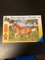 Puzzle 100 Teile XXL - süßes Pony Dresden - Schönfeld-Weißig Vorschau