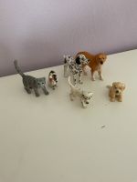 Schleich Hunde und Katzen Hessen - Ahnatal Vorschau