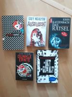 Bücher Paket 10 Stück, Thriller, Krimi, Roman Nordrhein-Westfalen - Espelkamp Vorschau