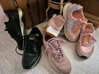 Sneakers Puma Nike Adidas Rheinland-Pfalz - Speyer Vorschau