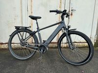 ⚡️E-Bike E-Trekking KALKHOFF M-1,75-1,85 ❎bis 170kg! Image XXL B8 Mecklenburg-Vorpommern - Stralsund Vorschau