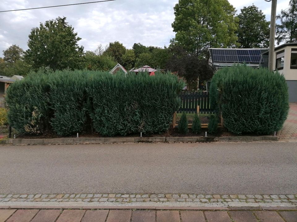 ❌Zaunbau Garten Gabionen Landschaftsbau Gartenbau❌ in Chemnitz