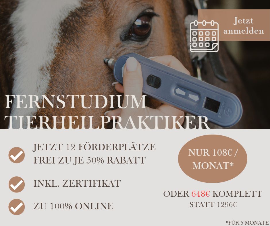 Noch 3 Plätze | Fernstudium Tierheilpraktiker in Ansbach