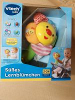 V-TECH Babyspielzeug Nordrhein-Westfalen - Monschau Vorschau