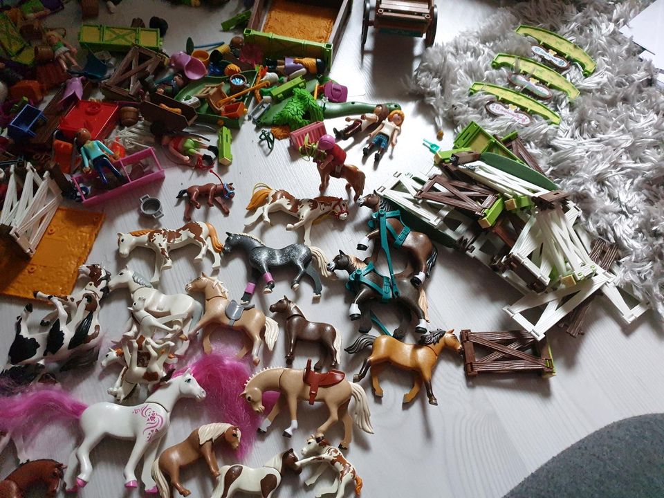 Playmobil Pferde/Spirit/Bauernhof für alles 50 Euro in Dortmund