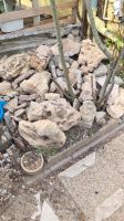 Verschiedenene Dekosteine für dem Garten auch Lochsteine Hessen - Lorsch Vorschau